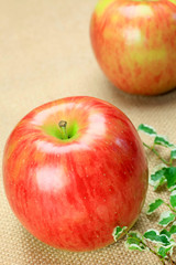 apple