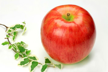 apple