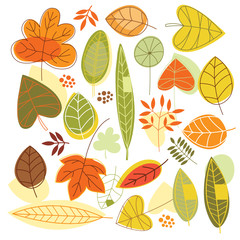 autumnal leaves