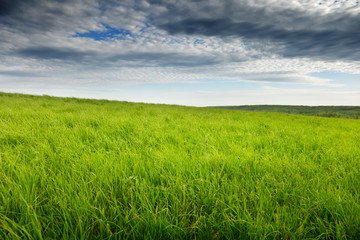 field of grass and sunset