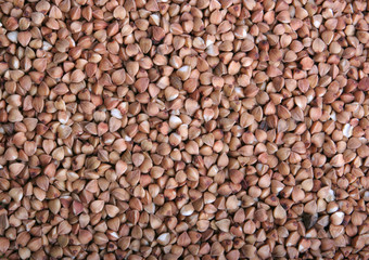 Buckwheat