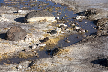 Geysers del tatio on Andes, Chile