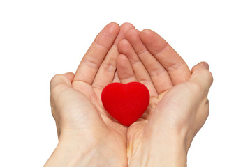 Obraz premium Małe serce valentine w rękach.