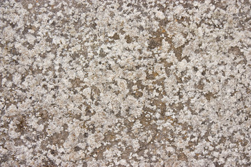 Stone Background Grunge Dirty Moldy- Pierre Texture