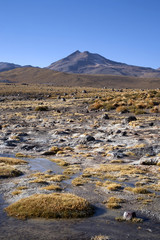 Geysers del tatio on Andes, Chile