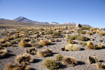 Geysers del tatio on Andes, Chile