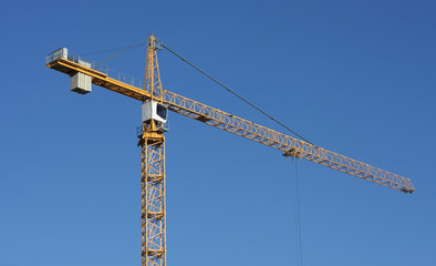 Crane