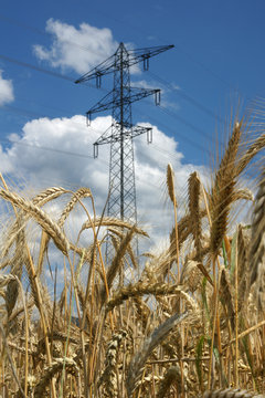 Energie und Landwirtschaft