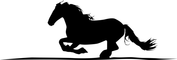 Friesenpferd - Horse © BarefootBornDesign