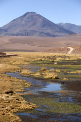 Desert de l'atacama