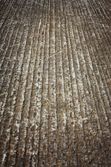 Fototapeta premium concrete background