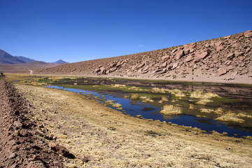 Desert de l'atacama