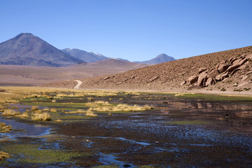 Desert de l'atacama
