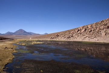 Desert de l'atacama
