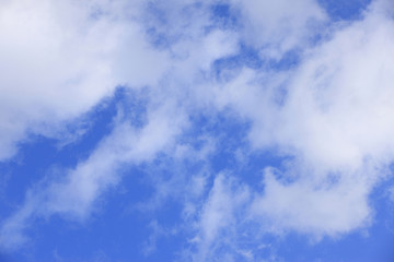 Obraz premium 青空