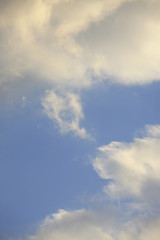 雲