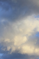 雲