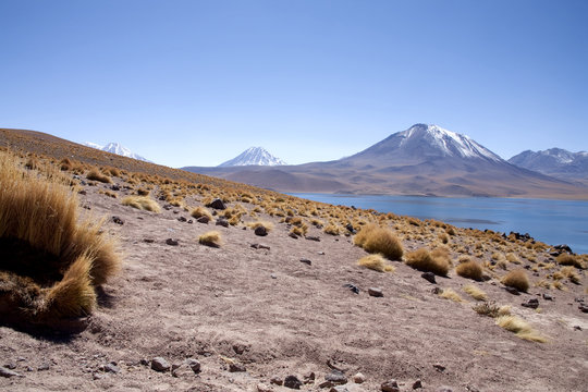 Lagunas Miscanti and Meniques in Atacama desert near Andes.