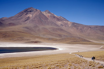 Lagunas Miscanti and Meniques in Atacama desert near Andes.