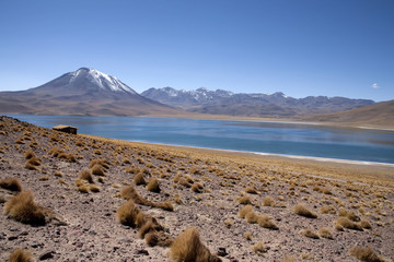 Lagunas Miscanti and Meniques in Atacama desert near Andes.