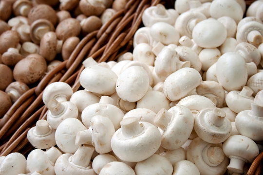 mushrooms in baskets
