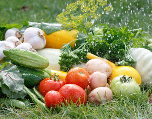 fresh vegetables.