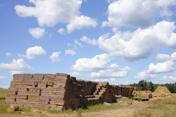 Hay and sky