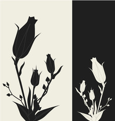 Roses - duotone vector illustration
