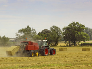 Obraz premium baling straw