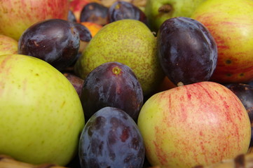 Mischobst