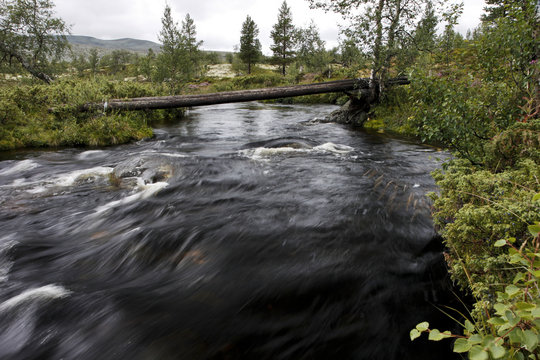 a river in Norway - Femundsmarka Nationalpark