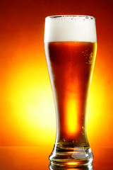 Glass of beer