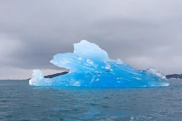 Foto op Aluminium Iceberg © Gentoo Multimedia