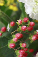 フラワーアレンジメント