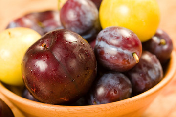 Plums and Pluots