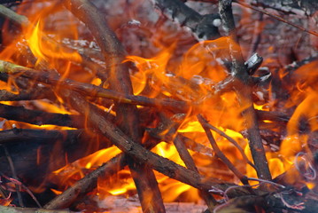feux de bois