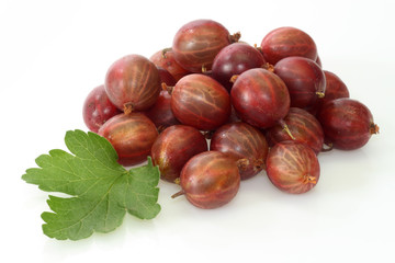 Stachelbeeren