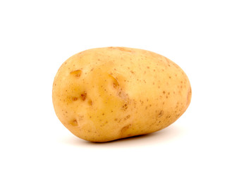 Potato