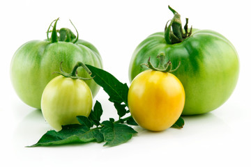 Bunch of Ripe Yellow Tomatoes with Green Leaf Isolated on White
