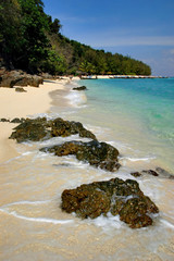 Bamboo island