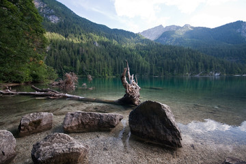 Fototapeta na wymiar Lake Tovel - Trentino