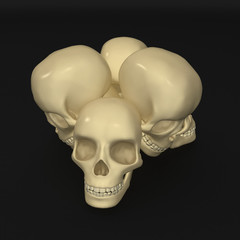 Skulls