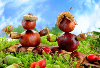 lustige kastanien männchen auf wald und wiese