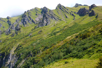 Naklejka premium Swiss Alps in summer day