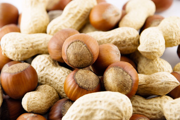 hazelnuts and peanuts