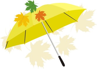 Umbrella and maple leaves. Vector