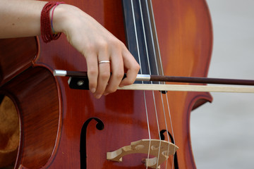 Violoncello