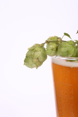 Weissbier mit Hopfen