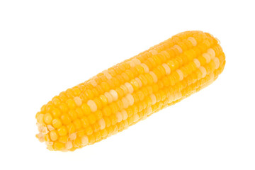 sweet corn on isolated