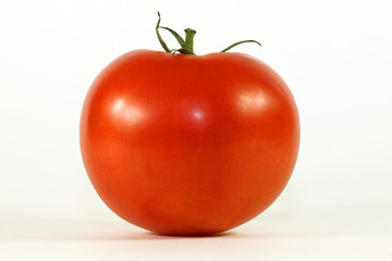 TOMATE - - - Marché - 13mopix